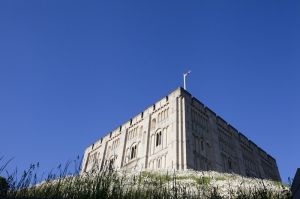 norwich 19.jpg